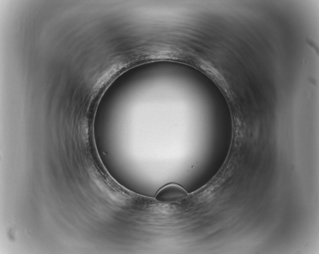 X0000100220298200805301352