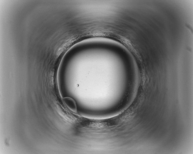 X0000100220299200805301352