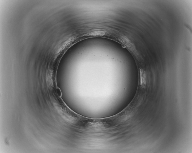 X0000100220300200805301352