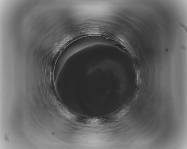 X0000100220301200805301352