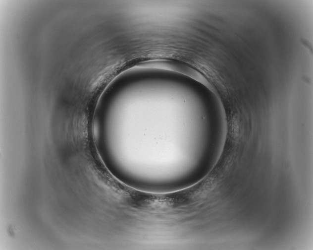 X0000100220303200805301352