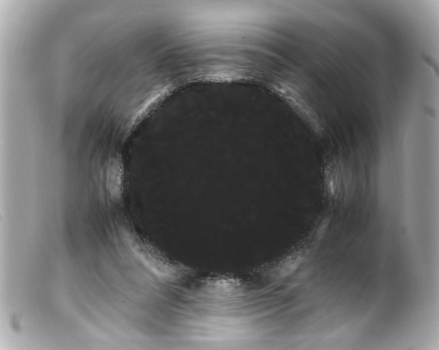 X0000100220304200805301352