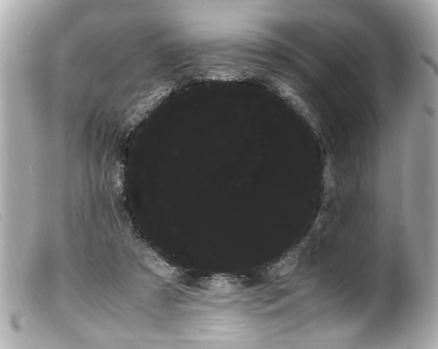 X0000100220305200805301352