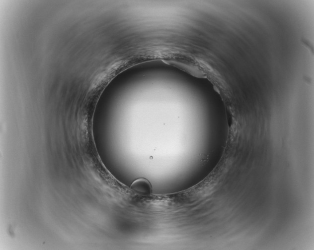 X0000100220306200805301352