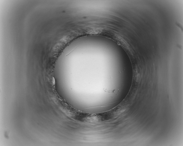 X0000100220307200805301352