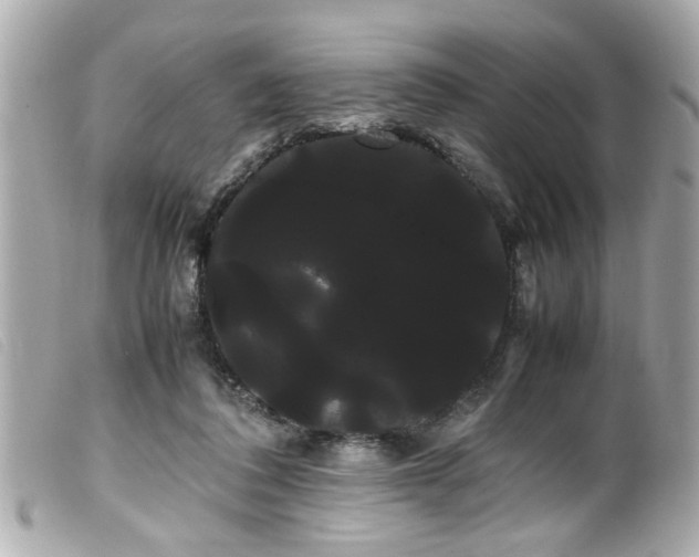 X0000100220308200805301352