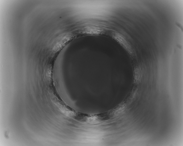 X0000100220309200805301352