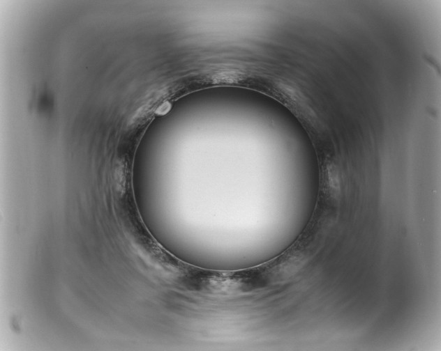 X0000100220311200805301352