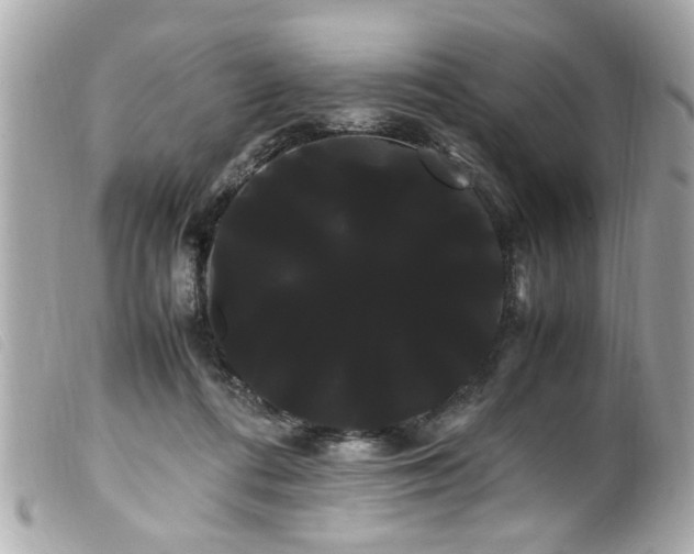 X0000100220312200805301352