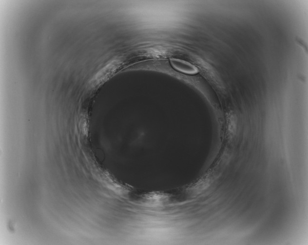 X0000100220313200805301352