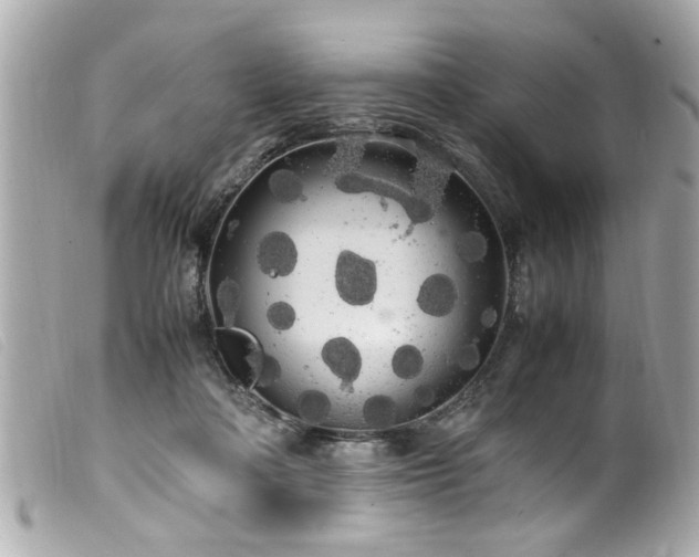 X0000100220314200805301352