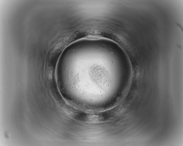 X0000100220315200805301352