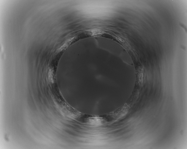 X0000100220316200805301352