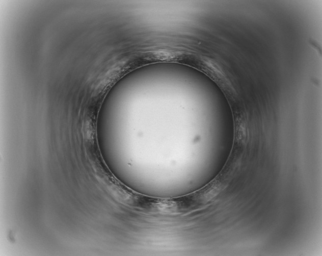 X0000100220317200805301352