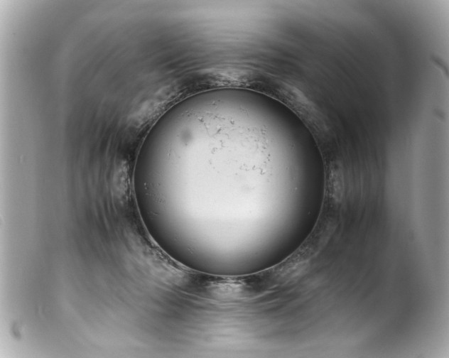 X0000100220318200805301352