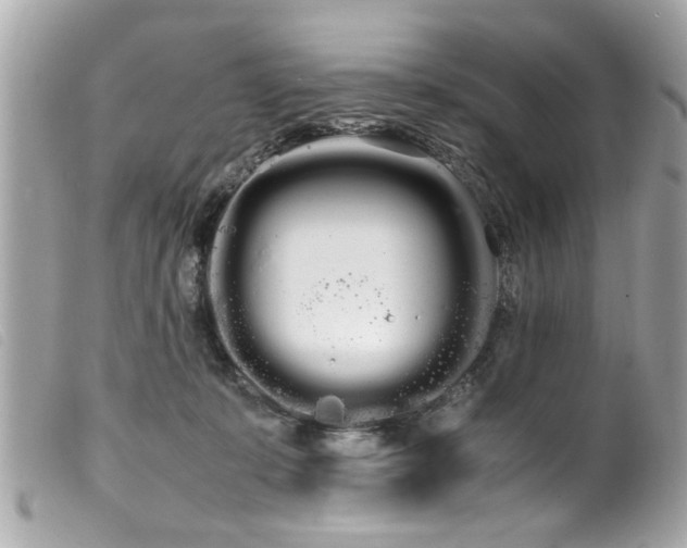 X0000100220319200805301352