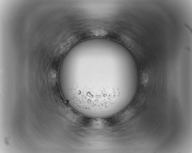 X0000100220321200805301352