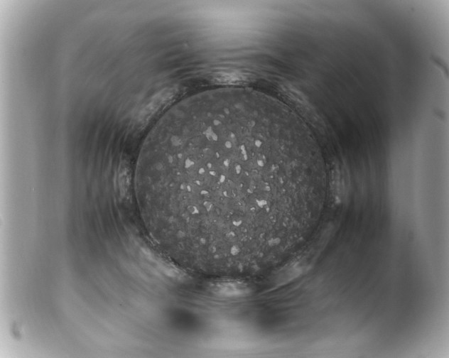 X0000100220322200805301352