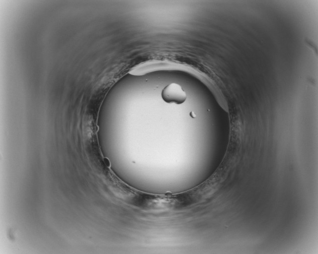 X0000100220323200805301352