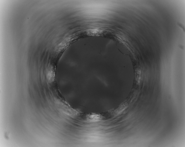 X0000100220324200805301352