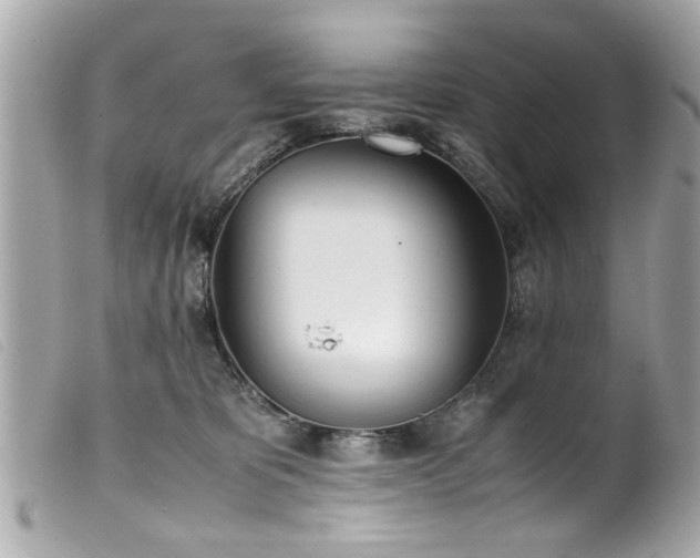 X0000100220325200805301352