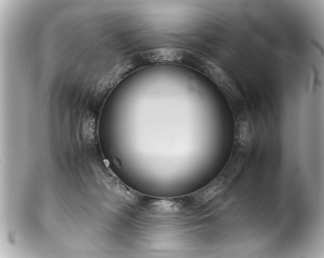 X0000100220326200805301352