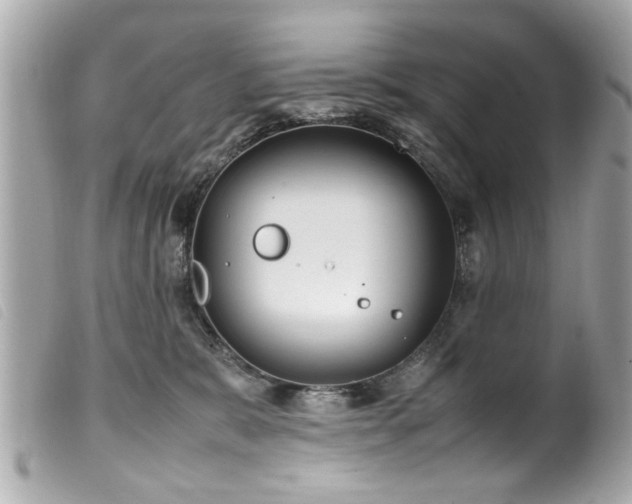 X0000100220327200805301352