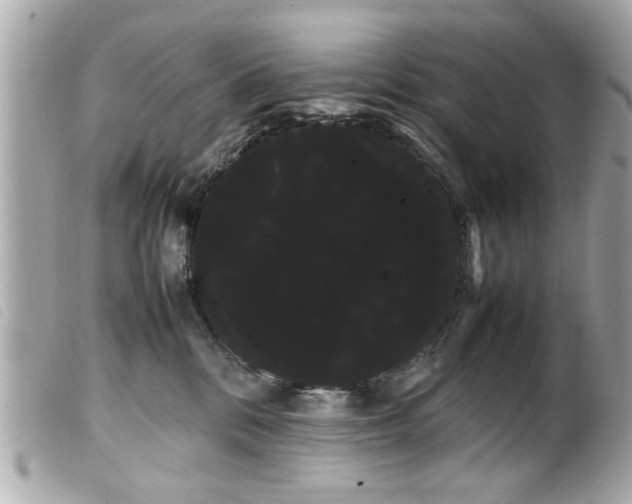 X0000100220328200805301352