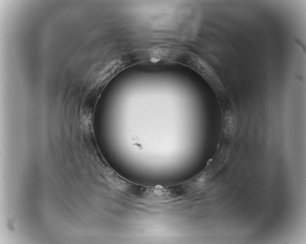 X0000100220329200805301352