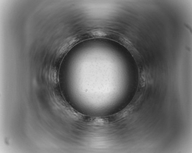 X0000100220330200805301352