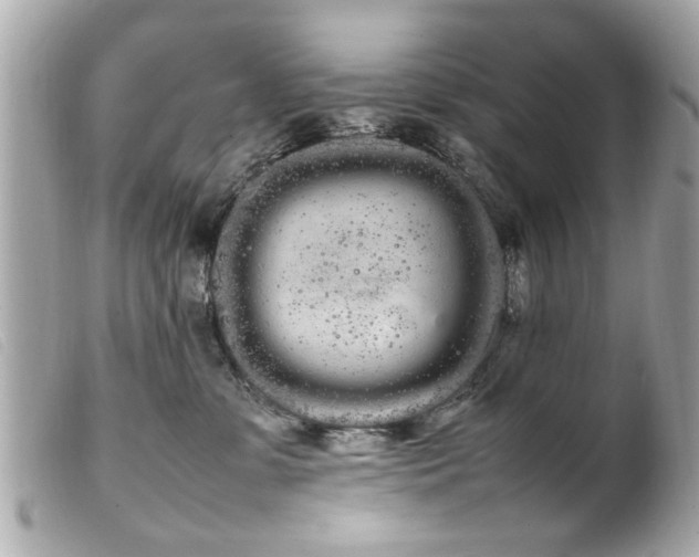 X0000100220331200805301352