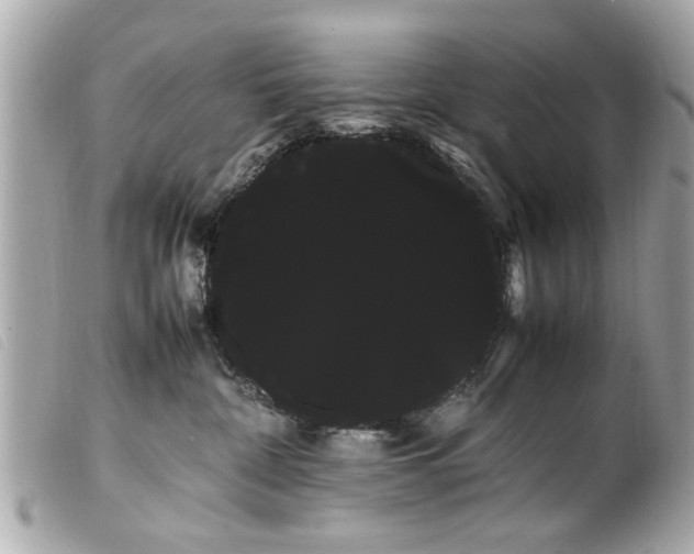 X0000100220332200805301352