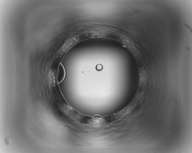 X0000100220333200805301352