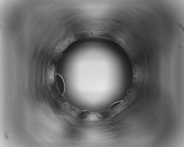 X0000100220334200805301352