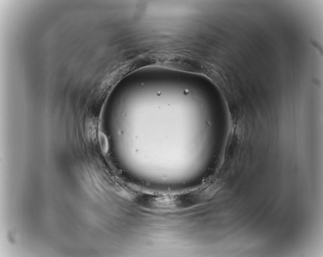 X0000100220335200805301352