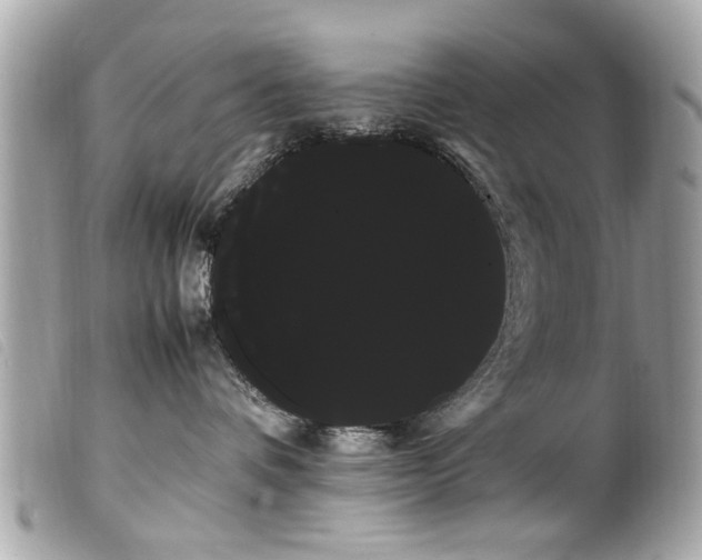 X0000100220336200805301352