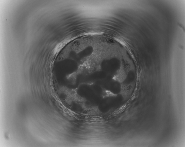 X0000100220337200805301351