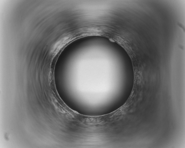 X0000100220338200805301351