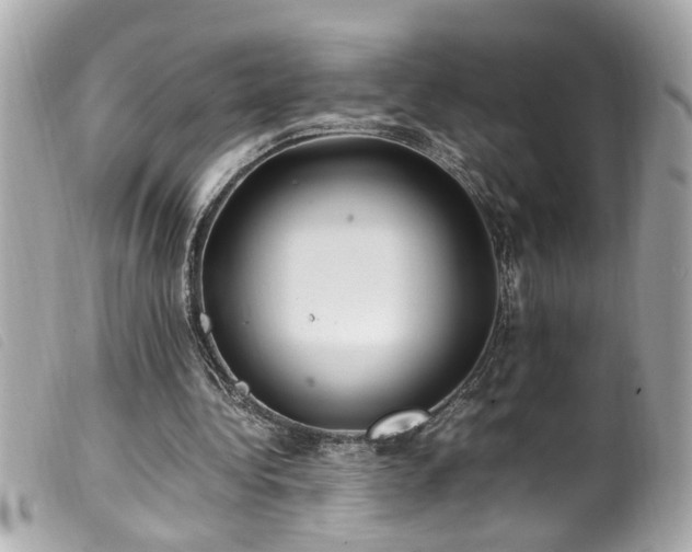 X0000100220340200805301351