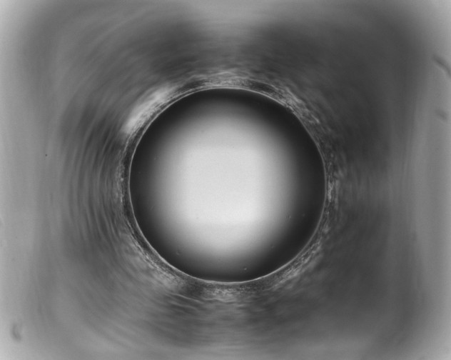 X0000100220341200805301351