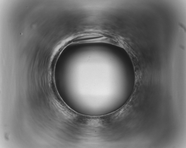 X0000100220342200805301351