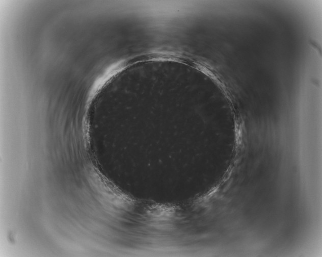 X0000100220343200805301351