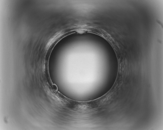 X0000100220344200805301351