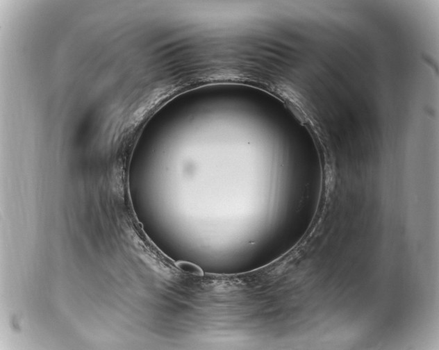 X0000100220345200805301351