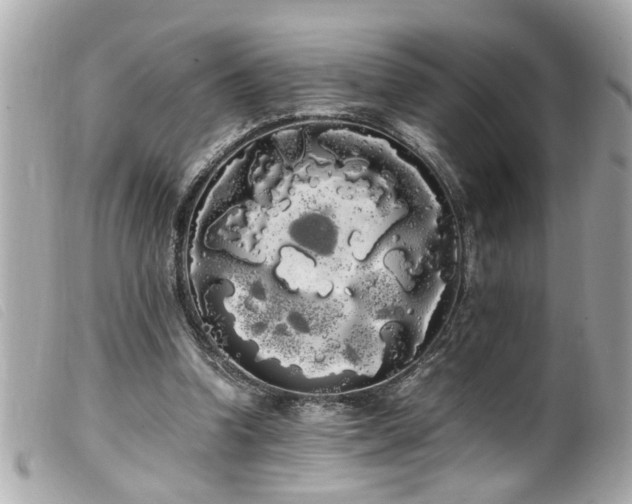 X0000100220346200805301351