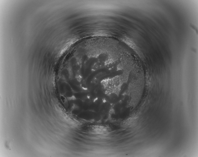 X0000100220347200805301351