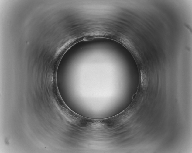 X0000100220348200805301351