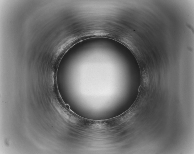 X0000100220350200805301351