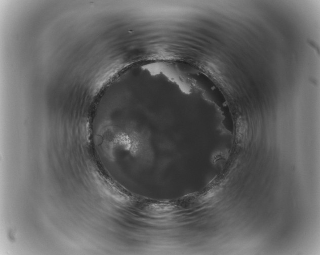 X0000100220351200805301351