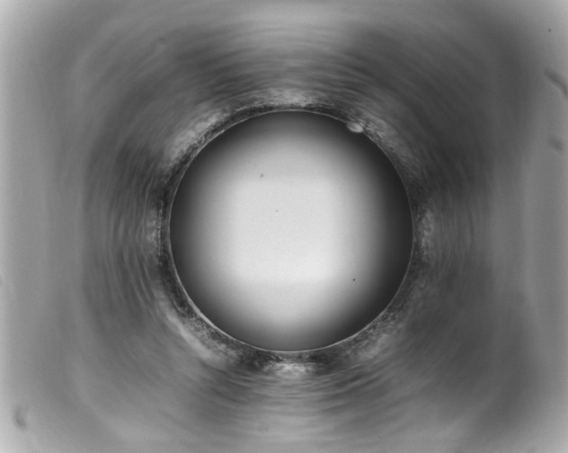 X0000100220352200805301351